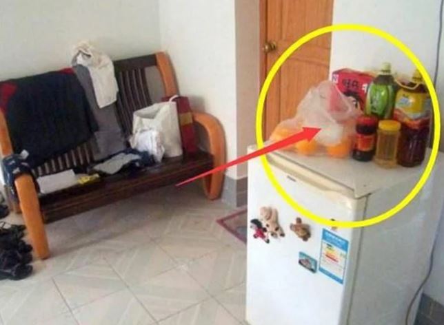 Thầy phong thủy dặn: Nóc tủ lạnh đặt 3 thứ này, tài lộc thất thoát, tiền ra như nước