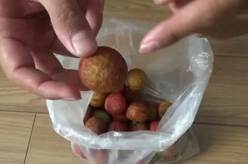 Mẹo bảo quản quả vải tươi lâu, không thâm, không giòn vỏ