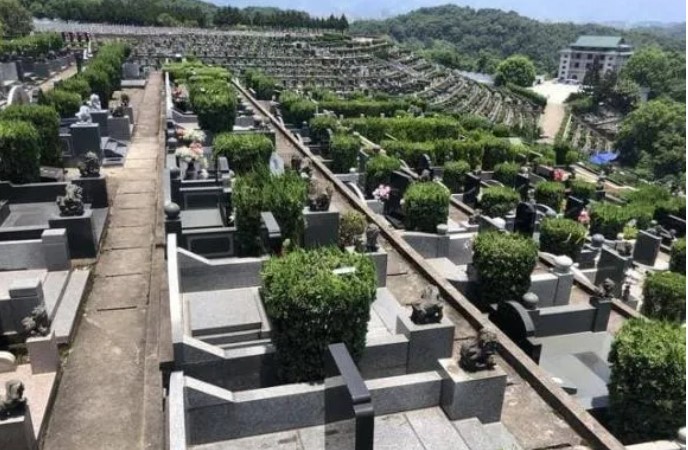 Tổ Tiên nói: ‘Mộ có hố thì con cháu nghèo, 3 vật bên mộ thì con cháu phú quý’, 3 vật đó là gì?