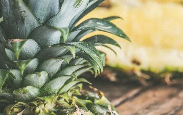 Bộ phận ít dùng từ cây dứa mang lại nhiều lợi ích cho sức khoẻ