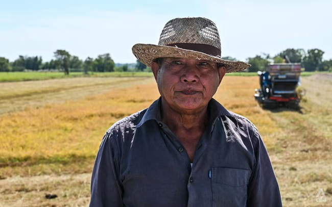 Dự trữ gạo toàn cầu có thể giảm 5% do El Nino