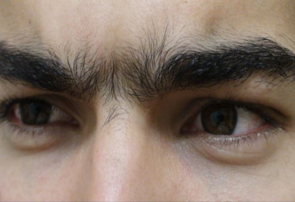 Cổ nhân dạy: Người lông mày thô rậm tràn xuống bờ mi chớ dại tới gần, tại vì sao?