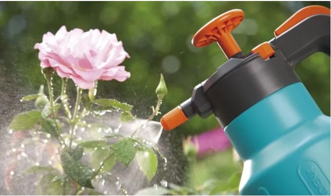 2 loại ‘nước ngọt’ cây cảnh rất mê, tưới một ít hoa nở tuôn như suối