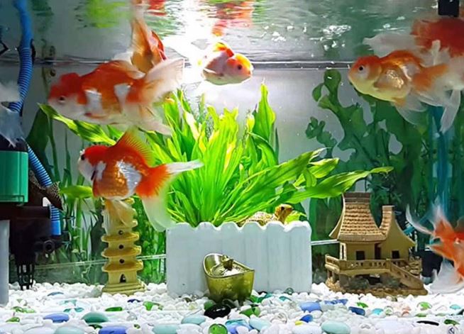 Dưới bàn thờ có 4 thứ này có thể là rước tai ách vào nhà, con cháu nghèo khó