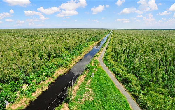 Net Zero và cơ hội đầu tư mới mang tên “mua bán quyền phát thải – tín chỉ carbon”