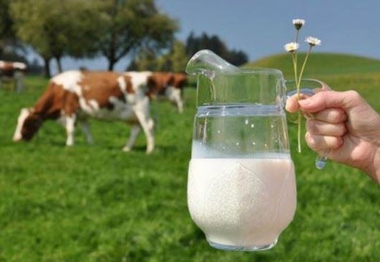 3 khung giờ vàng uống sữa giúp trẻ hấp thụ canxi tốt, nhanh cao lớn