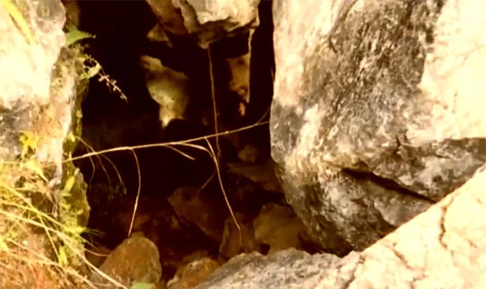Năm 1991, lão nông đào hang bắt cáo, tìm được bảo vật nghìn năm có một, chuyên gia vừa sợ vừa cười khi trông thấy - Ảnh 4.