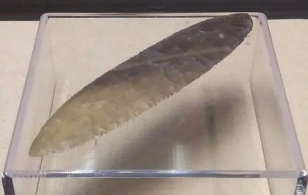 Cậu học sinh nhặt được chiếc lá, chuyên gia khảo cổ tuyên bố “Đây là bảo vật vô giá”