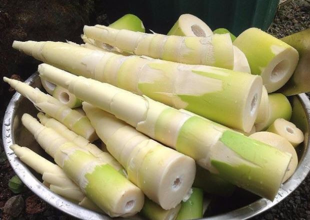 Đi chợ thấy măng tươi có điểm này thì đừng có mua mà tốn tiền, vừa đắng vừa không có chất