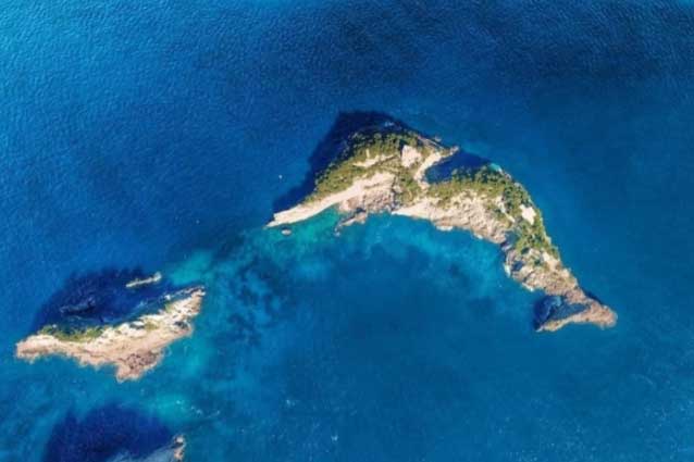 Cận cảnh đảo cá heo độc nhất thế giới, mỗi lần chỉ đón 12 du khách ghé thăm