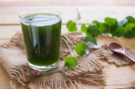 Những sai lầm khi uống nước rau má giải nhiệt trong mùa hè