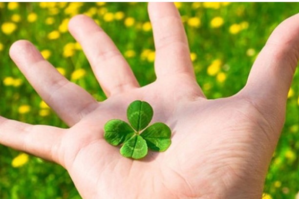 Phong thủy tốt hay xấu là do tâm người, người có phúc thì ở nơi nào cũng là phúc địa