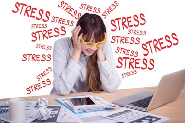   Stress là một trong những nguyên nhân gây ra tình trạng biếng ăn.  