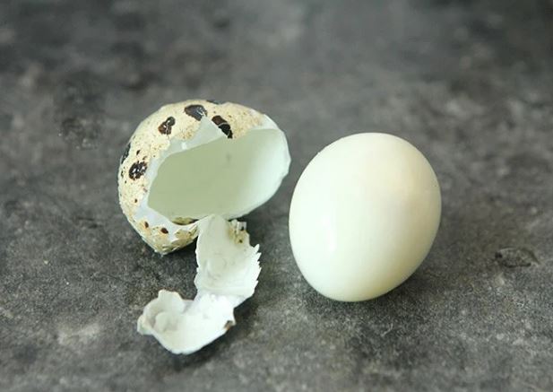Luộc trứng cút đừng thả thẳng vào nồi: Thêm 2 bước này vỏ trứng tự động bong ra sạch sẽ