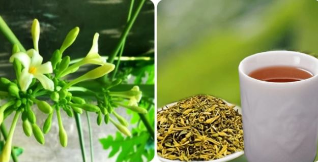 Hoa &#x111;u &#x111;&#x1EE7; &#x111;&#x1EF1;c c&#x1EF1;c t&#x1ED1;t nh&#x1B0;ng 4 nh&#xF3;m ng&#x1B0;&#x1EDD;i d&#x1B0;&#x1EDB;i &#x111;&#xE2;y c&#x1EA7;n tr&#xE1;nh xa