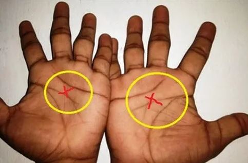 Lòng bàn tay của phụ nữ có 4 đặc điểm này rất giàu có, cả đời ăn sung mặc sướng