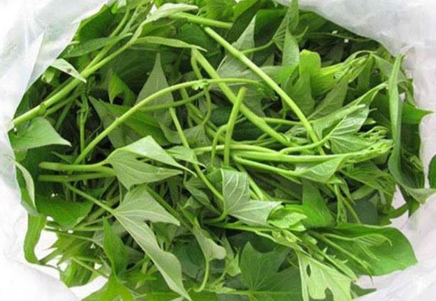 2 loại rau mọc hoang dại đầy ở Việt Nam được người Nhật gọi là rau trường thọ