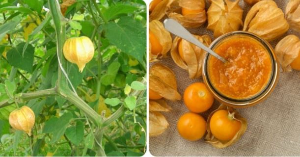 Qu&#x1EA3; t&#x1EA7;m b&#xF3;p c&#xF3; t&#xE1;c d&#x1EE5;ng g&#xEC;?