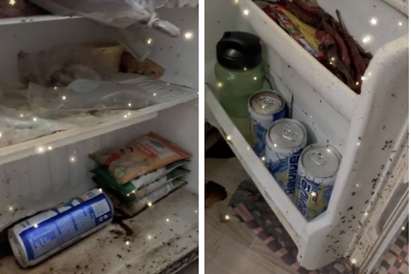 Đến nhà bạn trai, em mở tủ lạnh lấy nước uống nhưng vừa nhìn thấy thứ đen sì, bốc mùi bên trong thì bủn rủn cả chân tay