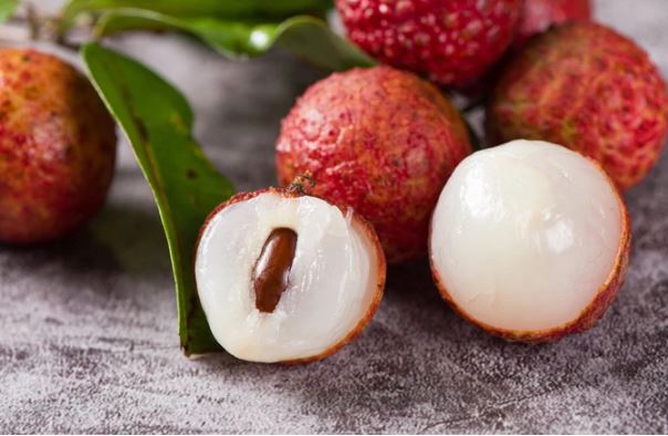 Lo&#x1EA1;i h&#x1EA1;t t&#x1B0;&#x1EDF;ng ch&#x1EEB;ng &quot;b&#x1ECF; &#x111;i&quot; l&#x1EA1;i c&#x1EF1;c t&#x1ED1;t cho s&#x1EE9;c kh&#x1ECF;e