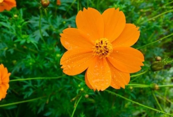 Người 'số đỏ' đều có chung 3 đặc điểm này: Tiền có thể tự kéo tới, sự nghiệp dễ 'lên hương'