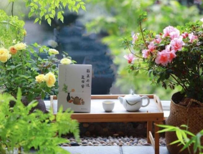 Hoa độc vào nhà, cả đời không phú quý: 4 loại hoa có thể mang tới xui xẻo, trồng trong nhà con cái 3 đời nghèo khó