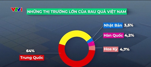 Rau quả Việt được mùa xuất khẩu