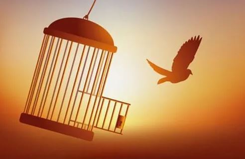 Sống ở đời, người học được 2 điều này họa có thể tự rời xa, may mắn không cầu mà đến