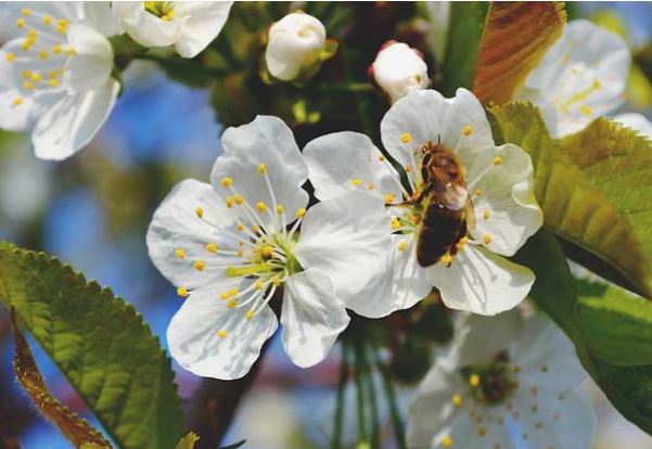 Sống ở đời dù tài giỏi đến đâu cũng đừng đối đầu với 4 người này, đó mới là khôn ngoan