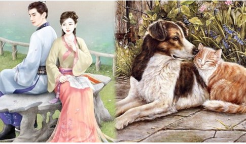 Cổ nhân đúc kết: ‘Đàn ông sợ mài, đàn bà sợ ngâm, con gà sợ ném, con chó sợ liếm’ vì sao lại như vậy?