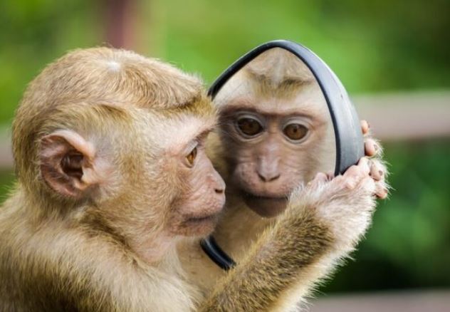 4 con giáp nữ có thể kiếm tiền giỏi hơn cả đàn ông, suốt đời giàu sang sung túc