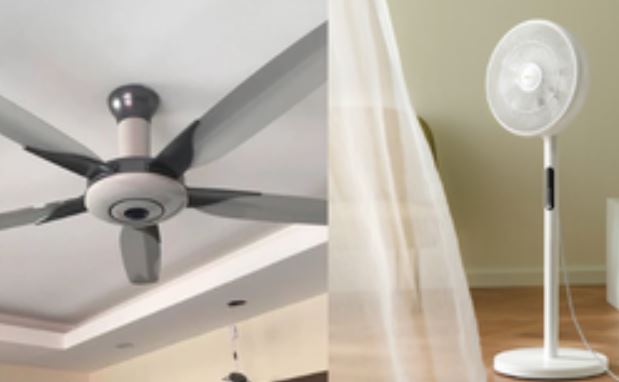 Quạt trần hay quạt cây tốn điện hơn? Bảng so sánh từ nghiên cứu của chuyên gia gây bất ngờ