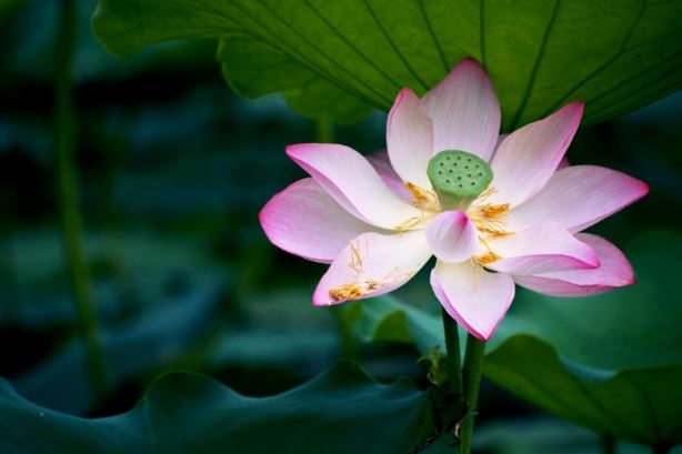 Phụ nữ khôn ngoan làm 3 điều này mỗi ngày, cuộc sống sẽ thêm khởi sắc