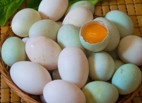Mua trứng vịt nên chọn quả vỏ trắng hay vỏ xanh?