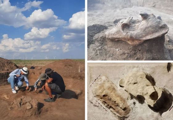 Hài cốt quái thú “trấn yểm” mộ cổ 2.000 năm tuổi