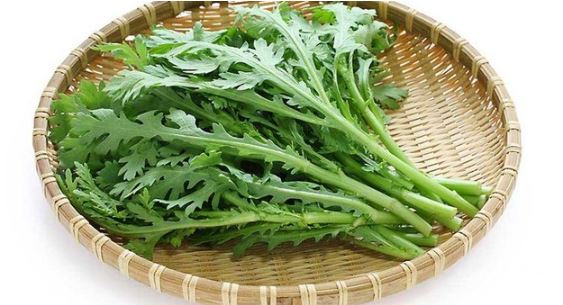 Loại rau vài nghìn/mớ lại là thuốc bổ máu, dưỡng tim, giải cảm… cực tốt