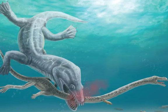 Truy tìm "vua quái vật" cắt đứt đôi thủy quái dài 6 m