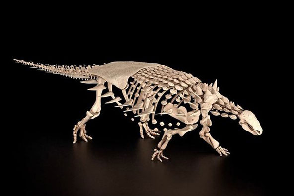 Anh: Xuất hiện quái thú khổng lồ chưa từng biết