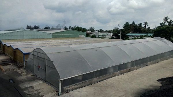 Trabaco: Nâng tầm giá trị dừa Việt