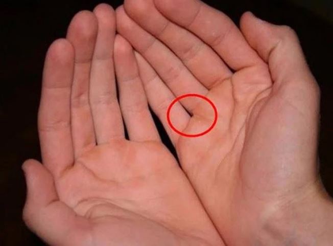 Người phúc mỏng, phận bạc thường có 5 điểm này trong lòng bàn tay, có 1 điểm cũng nghèo khó cả đời