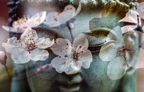 3 kiểu người này bỗng dưng xuất hiện báo hiệu cuộc sống của bạn đang khởi sắc từng ngày