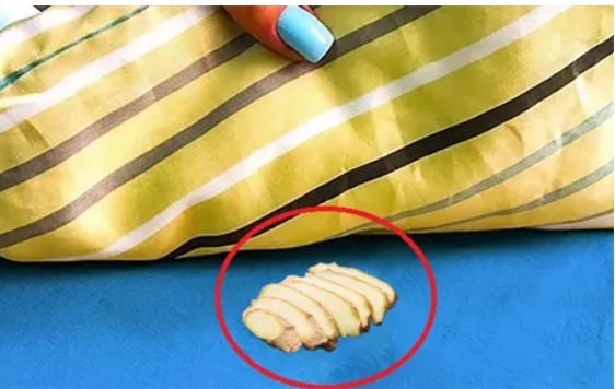 Đặt 1 nhánh gừng dưới gối khi ngủ: Lý do quan trọng, biết rồi ai cũng muốn học theo