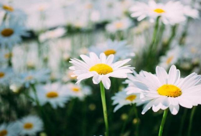 Ở đời, muốn mở ra tương lai tốt đẹp nhất định phải làm được điều này