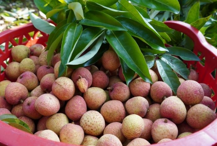 Những ai cần phải hạn chế ăn vải thiều?