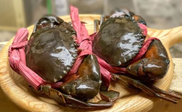 Cách phân biệt cua đực và cua cái ra sao?