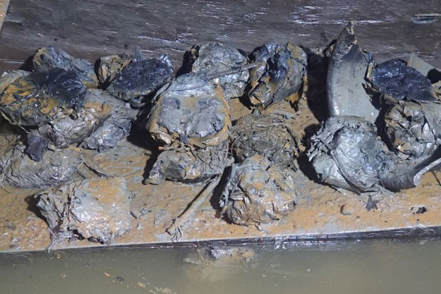 Trung Quốc: Tìm ra "kho báu" chôn đúng Tết Đoan Ngọ