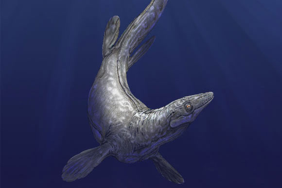 Thủy quái lạ 94 triệu tuổi "trồi lên" giữa công viên quốc gia