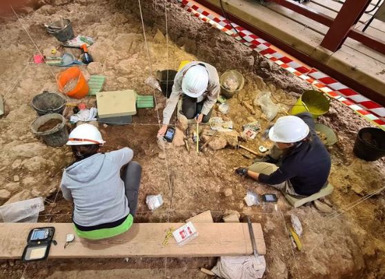 Lộ diện loài người cổ "ăn thịt người", từng sống cùng tổ tiên chúng ta