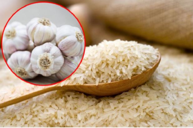 Vùi tỏi vào thùng gạo có lợi ích gì?