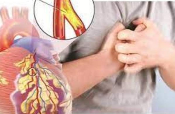 Bộ phận trên cơ thể càng “mềm” thì càng sống lâu, “cứng” có thể dẫn đến bệnh tim mạch, xuất huyết não